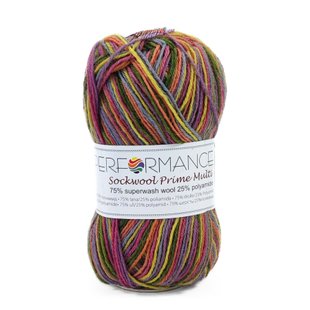 Пряжа Sockwool Prime Multi/Соквул Прайм Мульті, мультіколор DO-061, Performance 3599 фото