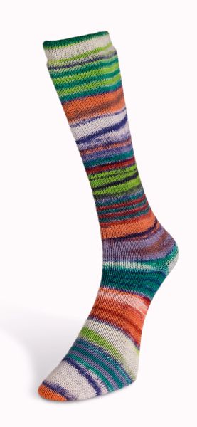 Пряжа Eclectic Sock/Эклектик Сок, мультиколор 03, Laines du Nord 3903 фото