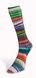 Пряжа Eclectic Sock/Эклектик Сок, мультиколор 03, Laines du Nord 3903 фото 2