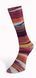 Пряжа Eclectic Sock/Эклектик Сок, мультиколор 04, Laines du Nord 3904 фото 4