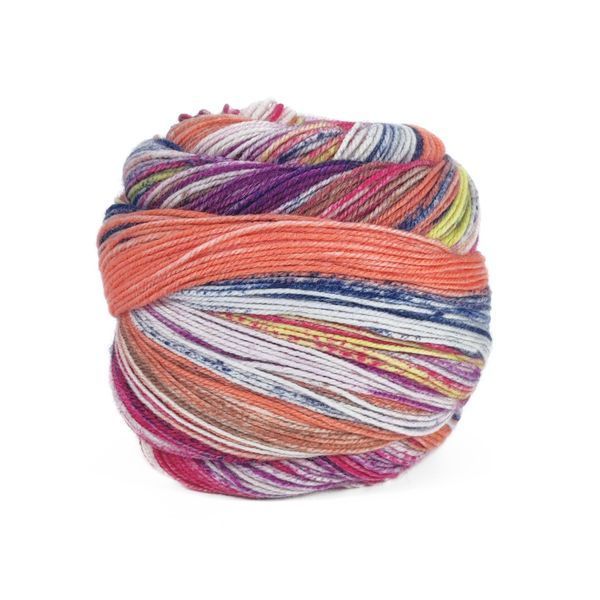 Пряжа Eclectic Sock/Эклектик Сок, мультиколор 04, Laines du Nord 3904 фото