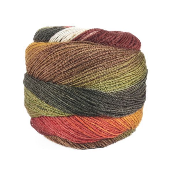 Пряжа Harmonious Sock/Хармониус Сок,красный-оранжевый-коричневый-хаки мультиколор 5, Laines du Nord 4865 фото