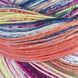 Пряжа Eclectic Sock/Эклектик Сок, мультиколор 04, Laines du Nord 3904 фото 3