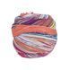 Пряжа Eclectic Sock/Эклектик Сок, мультиколор 04, Laines du Nord 3904 фото 2
