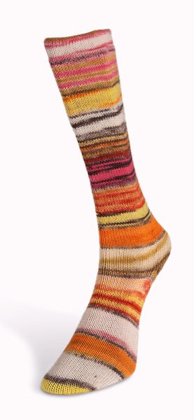 Пряжа Eclectic Sock/Еклектік Сок, мультіколор 05, Laines du Nord 3905 фото