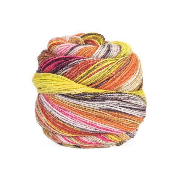 Пряжа Eclectic Sock/Эклектик Сок, мультиколор 05, Laines du Nord 3905 фото