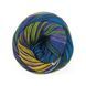 Пряжа Paint Sock 6 PLY/Паінт Сок 6 Плай, жовтий-зелений-блакитний-фіолетовий полоска 8, Laines du Nord 5167 фото 4