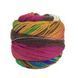 Infinity Sock Yarn, 20, Laines du Nord