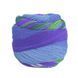 Пряжа Infinity Sock/Інфініті Сок, мультіколор-смуги 21, Laines du Nord 3910 фото 2