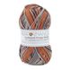 Пряжа Sockwool Prime Multi/Соквул Прайм Мульті, мультіколор 15 3613 фото 1