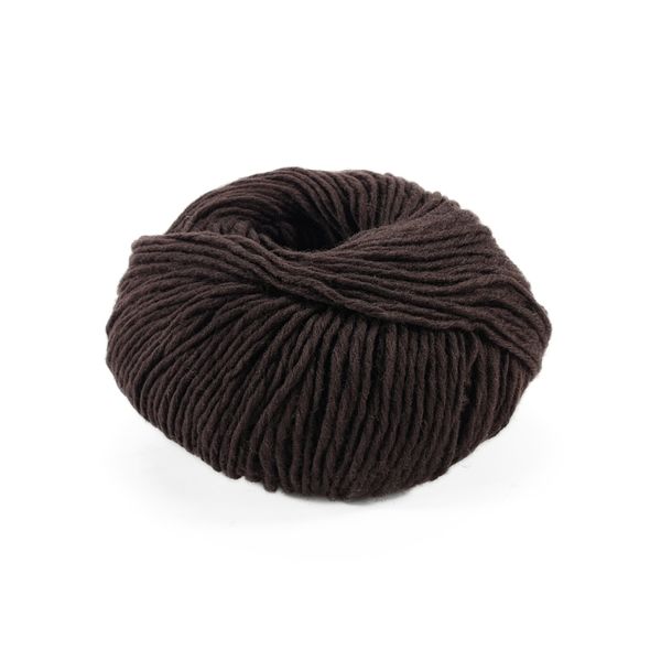 Пряжа Soft Carded Merino/Софт Кардед Меріно, шоколад 9, Laines du Nord 2152 фото