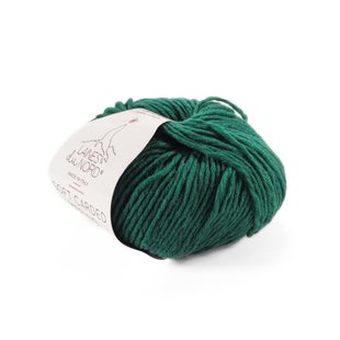 Пряжа Soft Carded Merino/Софт Кардед Меріно, зелений 11, Laines du Nord 2154 фото