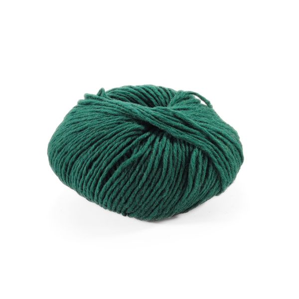 Пряжа Soft Carded Merino/Софт Кардед Меріно, зелений 11, Laines du Nord 2154 фото