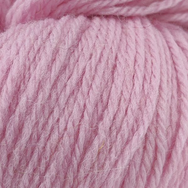 Пряжа Blue Faced Leicester Wool/Блю Фейс Лейстер Вул, ніжно-рожевий Pale pink 73227 3821 фото