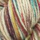 Vintage Organic Hand Paint Yarn, Yulitide SE717, Etrofil