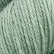 ПРЯЖА BLUE FACED LEICESTER WOOL/БЛЮ ФЕЙС ЛЕЙСТЕР ВУЛ, морозний зелений Frosty Green 79080 25 фото 2